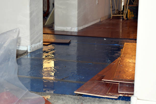 Professional Burst Pipe Cleanup technician working in Braintree, MA