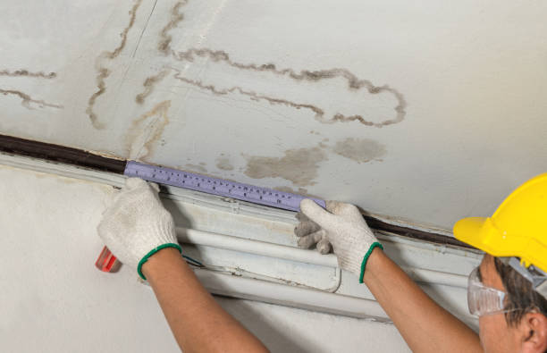 Reliable Burst Pipe Cleanup contractor in Braintree, MA by Water Damage Irwin